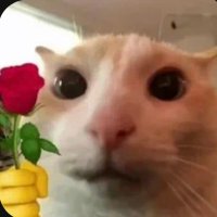 Murda - BUYING/SELLING CSGO/CS2 SKINS (@murdacs) 's Twitter Profile Photo