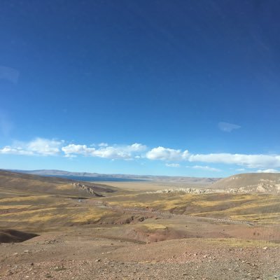 Wali_5566's profile picture. 