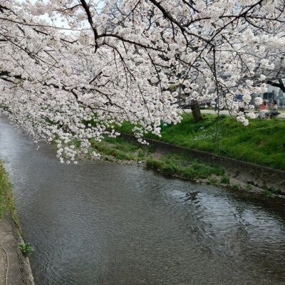 sweaty_woman8's profile picture. 👶2025.7.10 4m | 出産直後から産後うつ。2025.8〜精神科入院中。不安障害とうつ病発症。育児は子どもを溺愛する夫が頑張ってくれています。いつか子どもを愛せる日はくるのか？母性のない母親の葛藤の記録を残します。ネガティブ多めです...