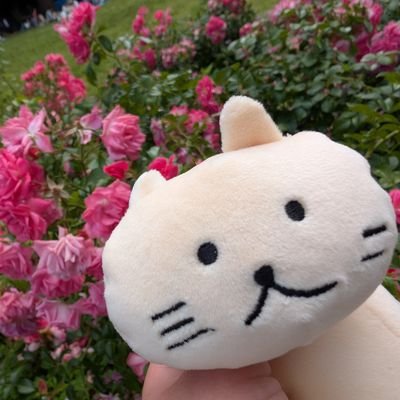 紫音様🐱 (@shionn_nana_7) / X