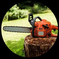 Artus (@artus554858) 's Twitter Profile