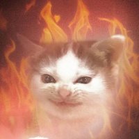 kl (@kitleaks12) 's Twitter Profile Photo kl (@kitleaks12) 's Twitter Profile Photo