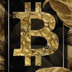 warlord_nft_xx's profile picture. 💯💯💯💯💯💯💯💯💯💯💯💯💯💯💯💯💯💯💯💯💯💯💯💯💯💯💯💯💯💯💯💯💯💯💯💯💯💯