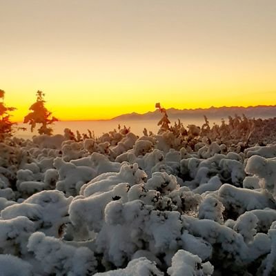 rafaldudek72's profile picture. 