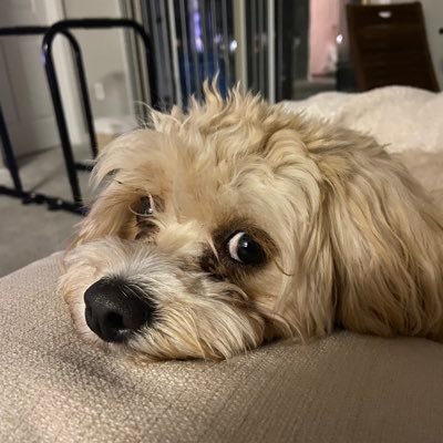 Mach5JJS's profile picture.
