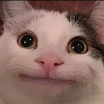 Crypto since `14. sharks, dogs, hats, nostalgia, stonks. I make movies. ps im just a cat