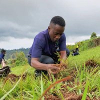 Kizito Godfrey Mutebi (@kizitogodfreym) 's Twitter Profile