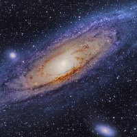 レイ (@dio1186) 's Twitter Profile Photo