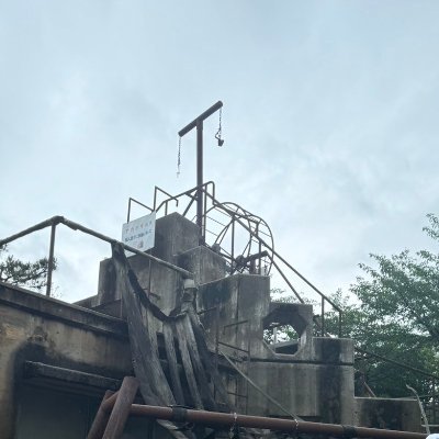 義井 Profile