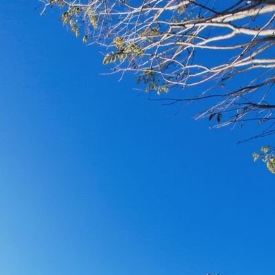 ゆったりまったり舞台ミュなど！気の向くまま楽しい方へ
プロフ(予定更新してません)▶https://t.co/iQSbHuf7g8