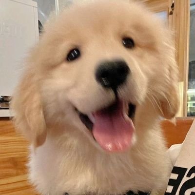 𝐛𝐞𝐚𝐦 (*อ่านนิยาย🔕)さんのプロフィール画像
