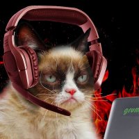 Harley Dyson (@girl_3a61xe) 's Twitter Profile Photo