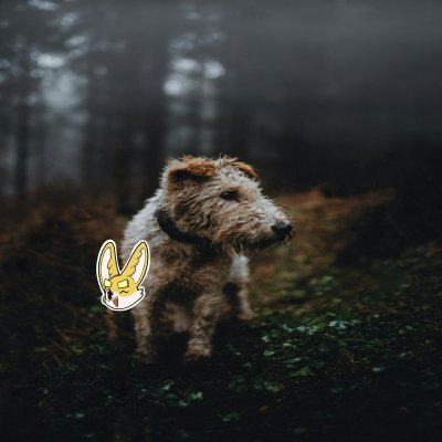 AminoSergey's profile picture. Sahara #0117865