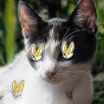 KathyPosey19's profile picture. Sahara #0118571