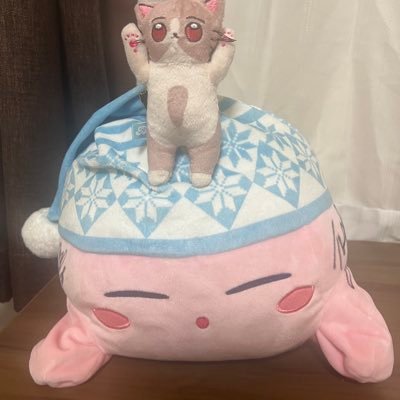無言フォローごめんなさい🙇フォロー歓迎です(*・ω・)*_ _)ペコリ サイサイ/ReoNa/ずとまよ コズ団 愛知①大阪② 兵庫②