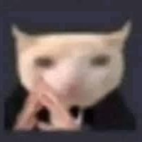 _firenze___'s profile picture. CS student, building software no one will use (including me).