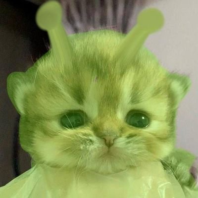 npiee00z's profile picture. brr brr napapimm