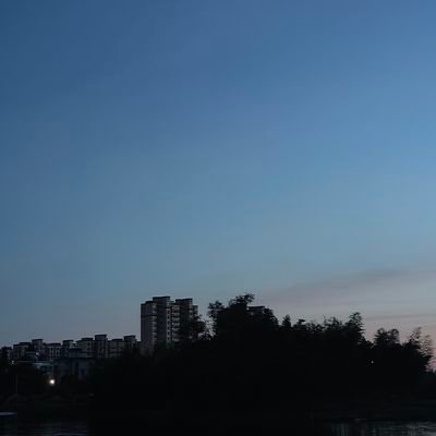 ilybeefsalad's profile picture. @ilyfynn