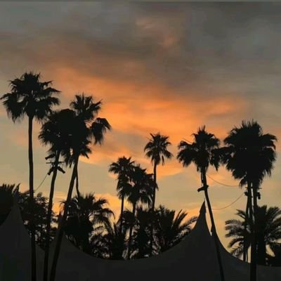 wl5616776's profile picture. 