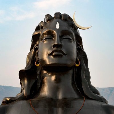 ashujuneja's profile picture. 