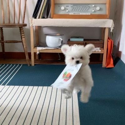 loveon__'s profile picture. 살짝 앉음 하트가 돼 🤍