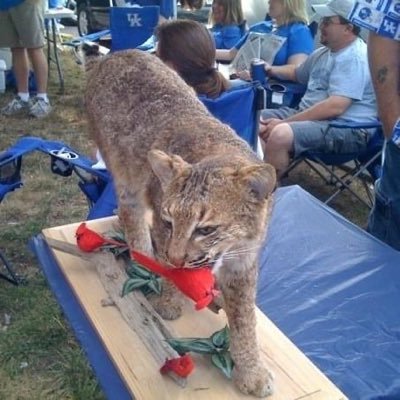 proberts27's profile picture. My first email address ended in .arpa