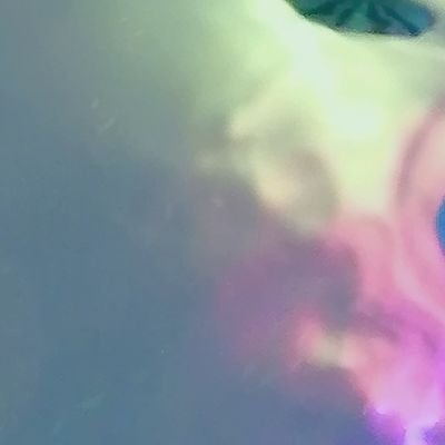 ねちがえ Profile