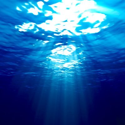 birthlove4157's profile picture. 出産フェチ　いきみフェチ　成人済🚹