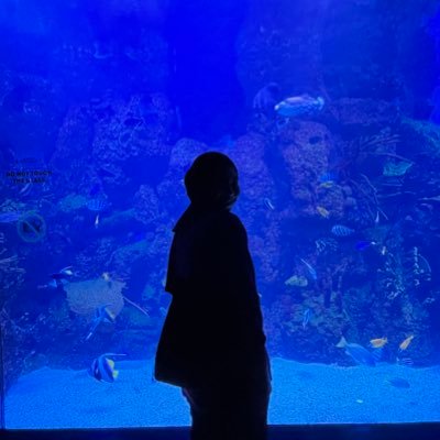 impradanthi's profile picture. omong kosong semata, cita cita menjadi mermaid