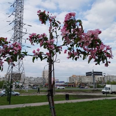 cancel, damnさんのプロフィール画像