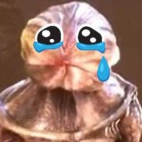 Average VT Enjoyer π―οΈπ (@avg_vt_enjoyer) 's Twitter Profile