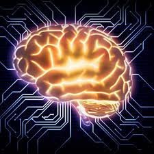 sai1274766's profile picture. 大学院1年　23歳