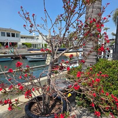 TGreene_SST's profile picture. 