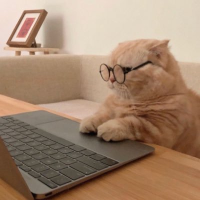 kittiphod_L's profile picture. #พจจี้ ig.Poj_kl fb. kittiphod Lerdsrisanthad