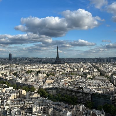 skayfi3's profile picture. Stablecoin Brother.