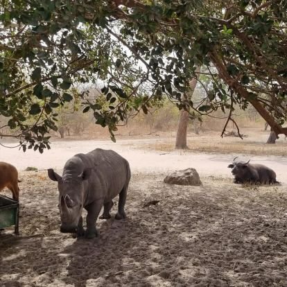 JarraNeh's profile picture. 🌏🗺⛰️⛪️⏰️🙏☀️✊️🌝