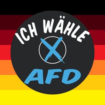 GesichertCool's profile picture. Freiheitsliebender echter Demokrat, Verächter des Kartells und überzeugter AfD Wähler💙🇩🇪