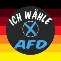 Der blaue💙 Kapitän🇩🇪 (@gesichertcool) 's Twitter Profile