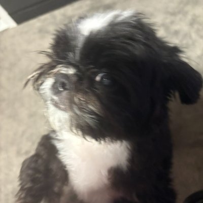 Moonratyx's profile picture. Às vezes ser doido é a verdadeira liberdade
💍MoonKase