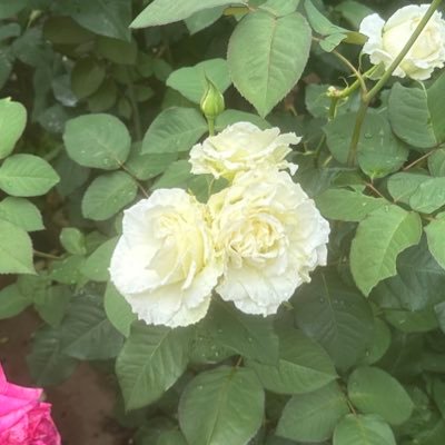 感情そのまま出すだけ