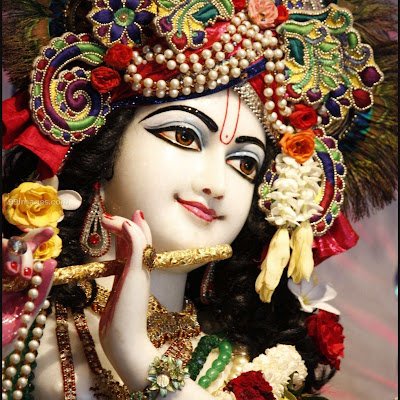 WebDevelop53589's profile picture. 