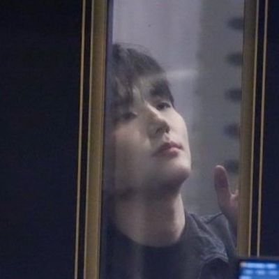 고양이가 너무 귀여운 사건