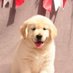 O Ak (@toohiiyh) Twitter profile photo O Ak (@toohiiyh) Twitter profile photo