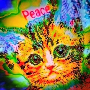 P太郎さんのプロフィール画像