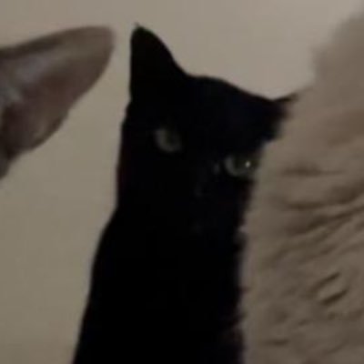 CryptoVoyd's profile picture. I dev coins 🪙 

👇Building bags with Uxento⛓️👇