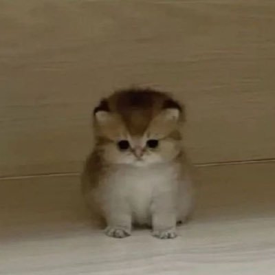 s0ys0ynokkumlee's profile picture. ไม่ได้ขายเสื้อแต่ลองได้ทุกตัว