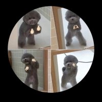 istedimoldu (@prensesperver) Twitter profile photo