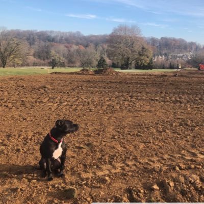 EnglemanBen's profile picture. 