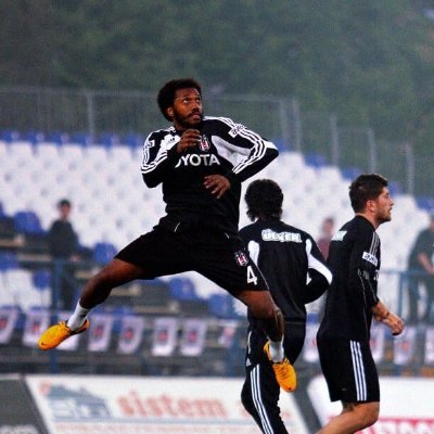 cihocin's profile picture. ilef