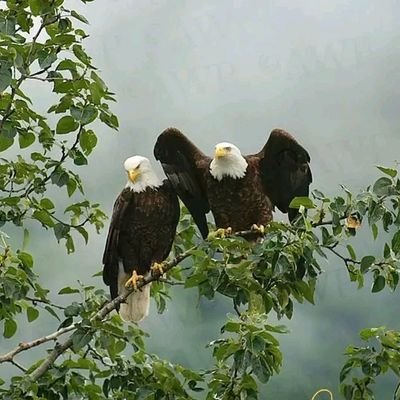 Tsiga_Maleke's profile picture. 